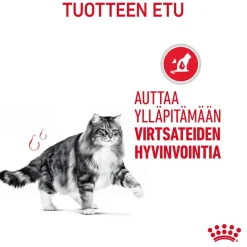 Royal Canin Kissan Kuivaruoka|Kissan Erikoisruoat*Urinary Care