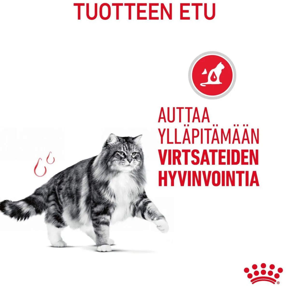 Royal Canin Kissan Kuivaruoka|Kissan Erikoisruoat*Urinary Care