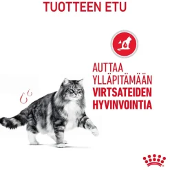 Royal Canin Kissan Märkäruoka|Kissan Erikoisruoat*Urinary Care Gravy 12x85g