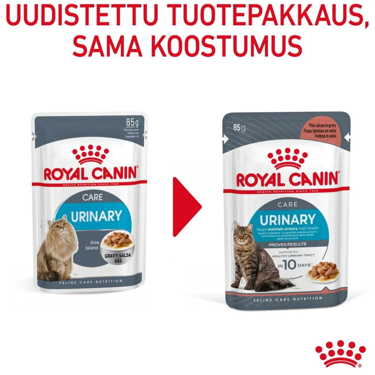 Royal Canin Kissan Märkäruoka|Kissan Erikoisruoat*Urinary Care Gravy 12x85g