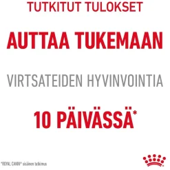 Royal Canin Kissan Märkäruoka|Kissan Erikoisruoat*Urinary Care Gravy 12x85g