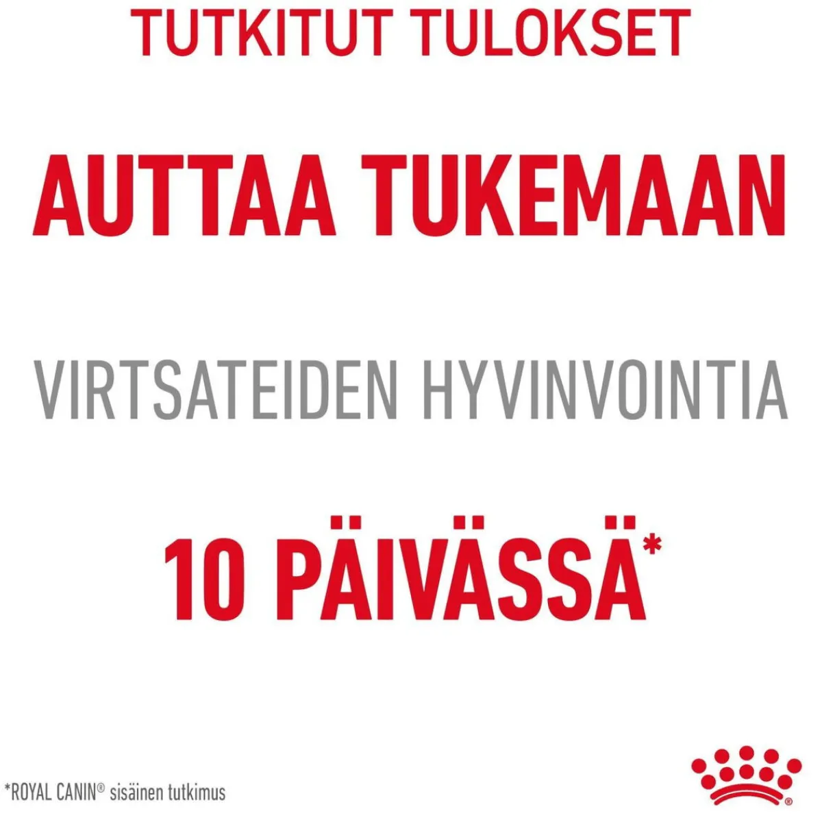 Royal Canin Kissan Märkäruoka|Kissan Erikoisruoat*Urinary Care Gravy 12x85g