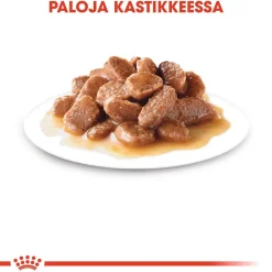 Royal Canin Kissan Märkäruoka*Urinary Care Gravy 85g, 48-pack