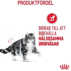 Royal Canin Kissan Märkäruoka*Urinary Care Gravy 85g, 48-pack