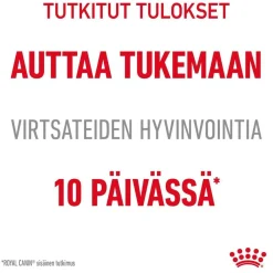 Royal Canin Kissan Märkäruoka*Urinary Care Gravy 85g, 48-pack