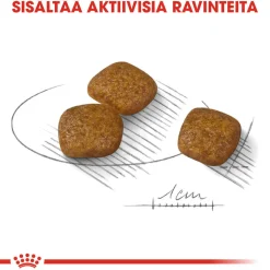 Royal Canin Koiran Kuivaruoka*Urinary Care Mini