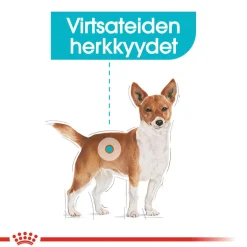 Royal Canin Koiran Märkäruoka Ja Makkarat*Urinary Care wet 12 x 85 g