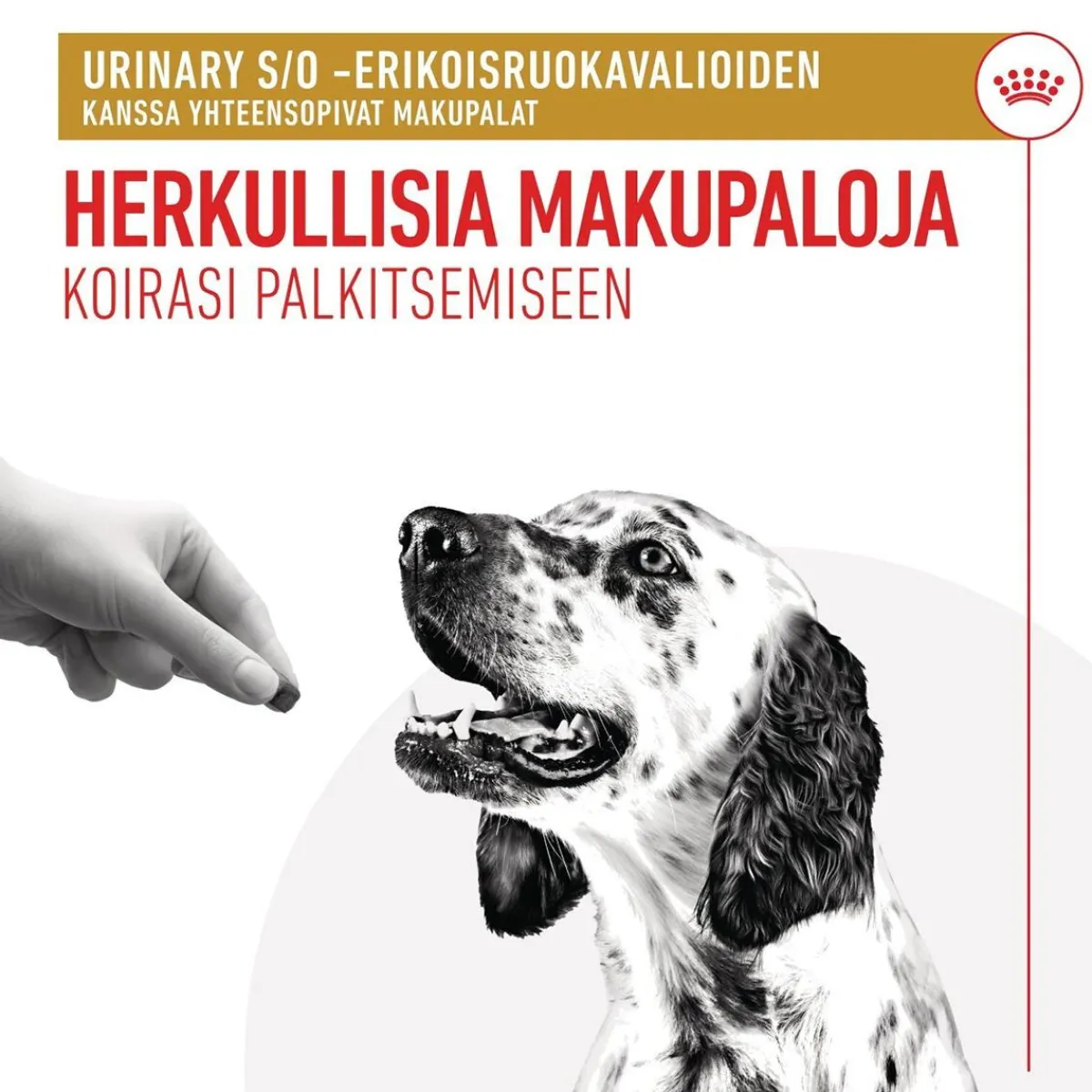 Royal Canin Veterinary Diets Koiran Virtsatievaivat|Koiran Eläinlääkäriruoka*Royal Canin Urinary Treats 230 g