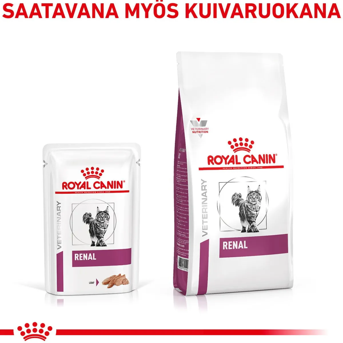 Royal Canin Veterinary Diets Kissan Erikoisruoka|Kissan Munuaisten Vajaatoiminta*Royal Canin Veterinary Cat Vital Renal Loaf 12x85 g