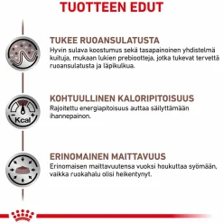Royal Canin Veterinary Diets Kissan Suolistosairaudet|Kissan Erikoisruoka*Cat Gastrointestinal Moderate Calorie wet 12x85g