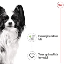 Royal Canin Koiran Märkäruoka Ja Makkarat*XS Adult märkäruoka 12 x 85 g