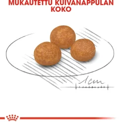 Royal Canin Koiran Kuivaruoka*X-Small Adult