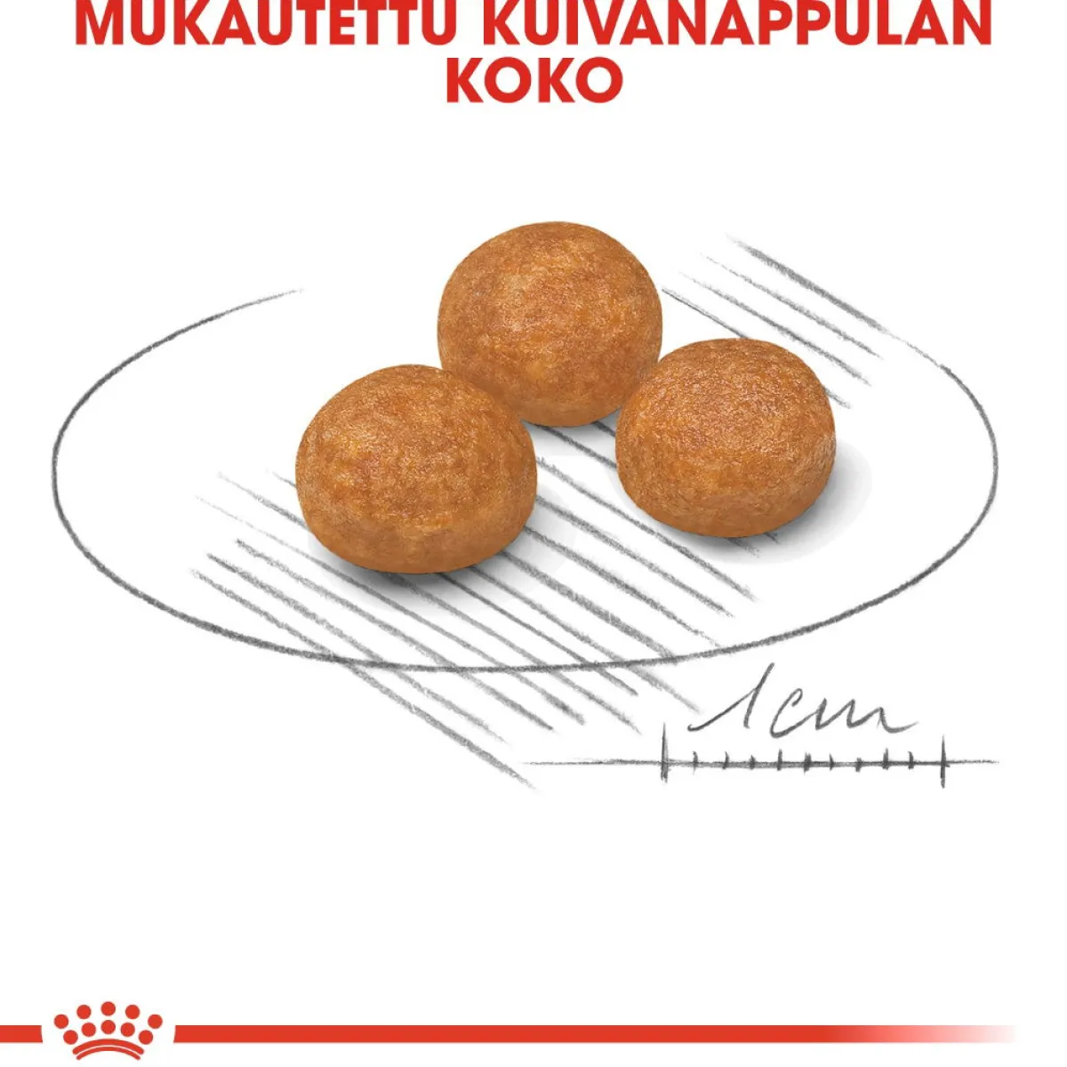 Royal Canin Koiran Kuivaruoka*X-Small Adult