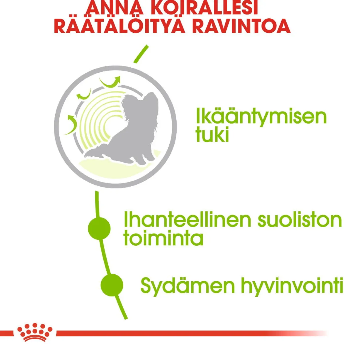 Royal Canin Koiran Kuivaruoka|Senioriruoka*X-Small Ageing +12, 1.5 kg