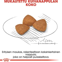 Royal Canin Koiran Kuivaruoka|Senioriruoka*X-Small Ageing +12, 1.5 kg