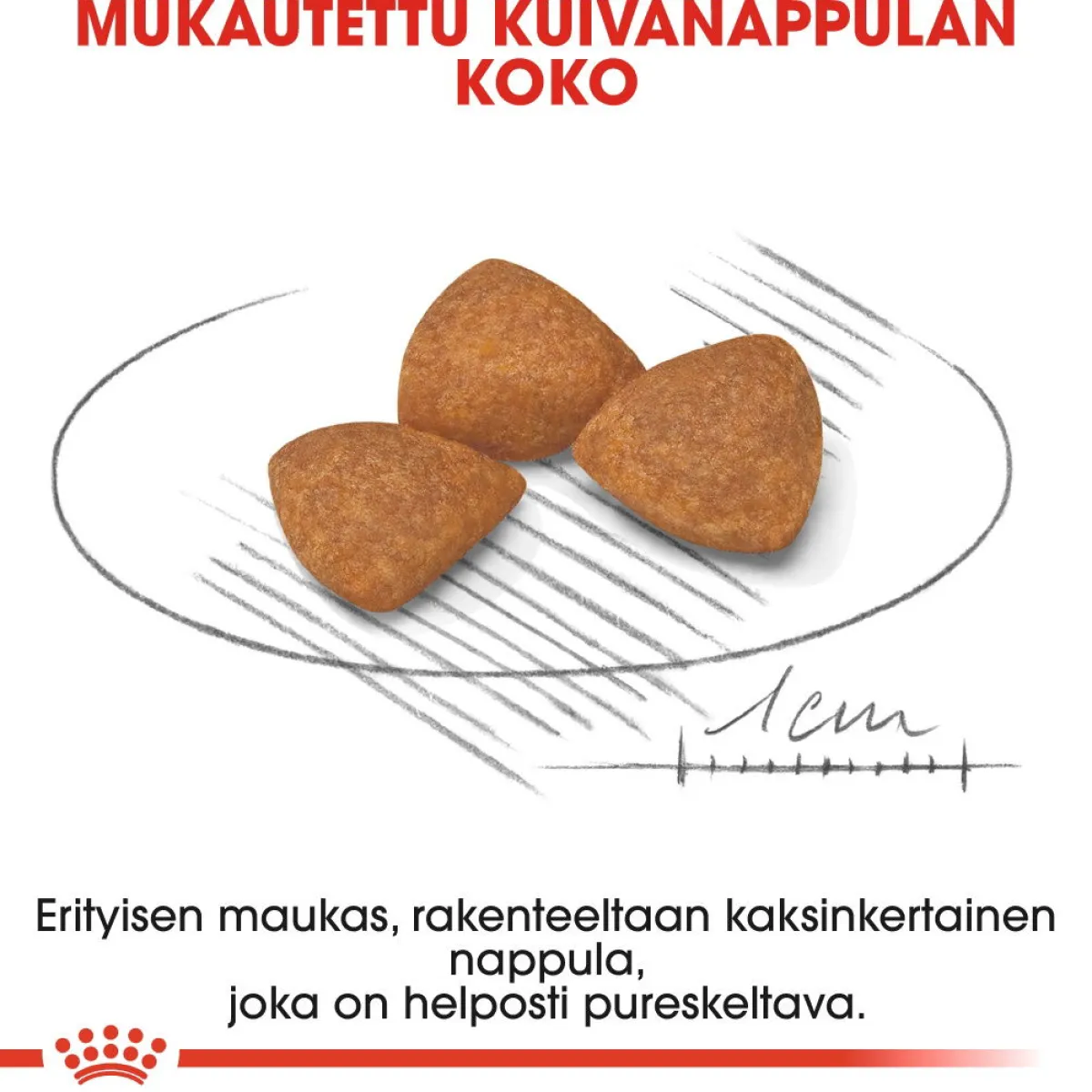 Royal Canin Koiran Kuivaruoka|Senioriruoka*X-Small Ageing +12, 1.5 kg