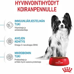 Royal Canin Penturuoka|Koiran Kuivaruoka*X-Small Puppy