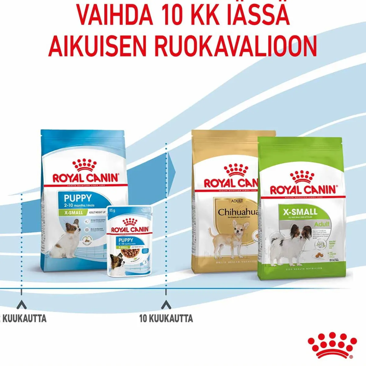Royal Canin Penturuoka|Koiran Kuivaruoka*X-Small Puppy