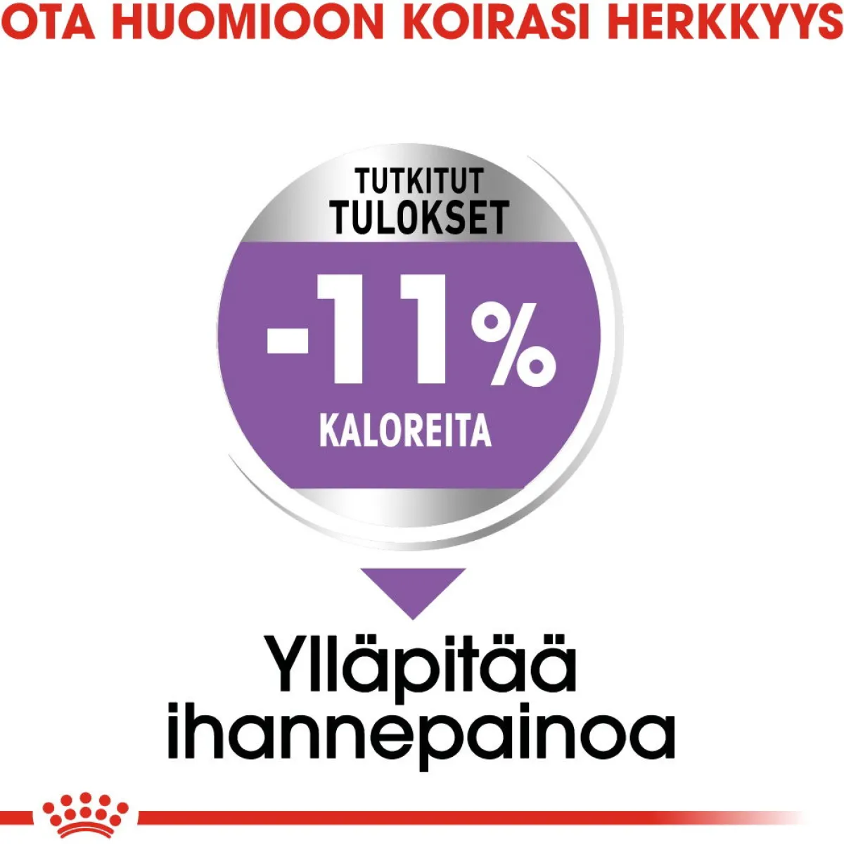 Royal Canin Koiranruoat Erityistapeisiin|Koiran Kuivaruoka*X-Small Sterilised 1,5 kg