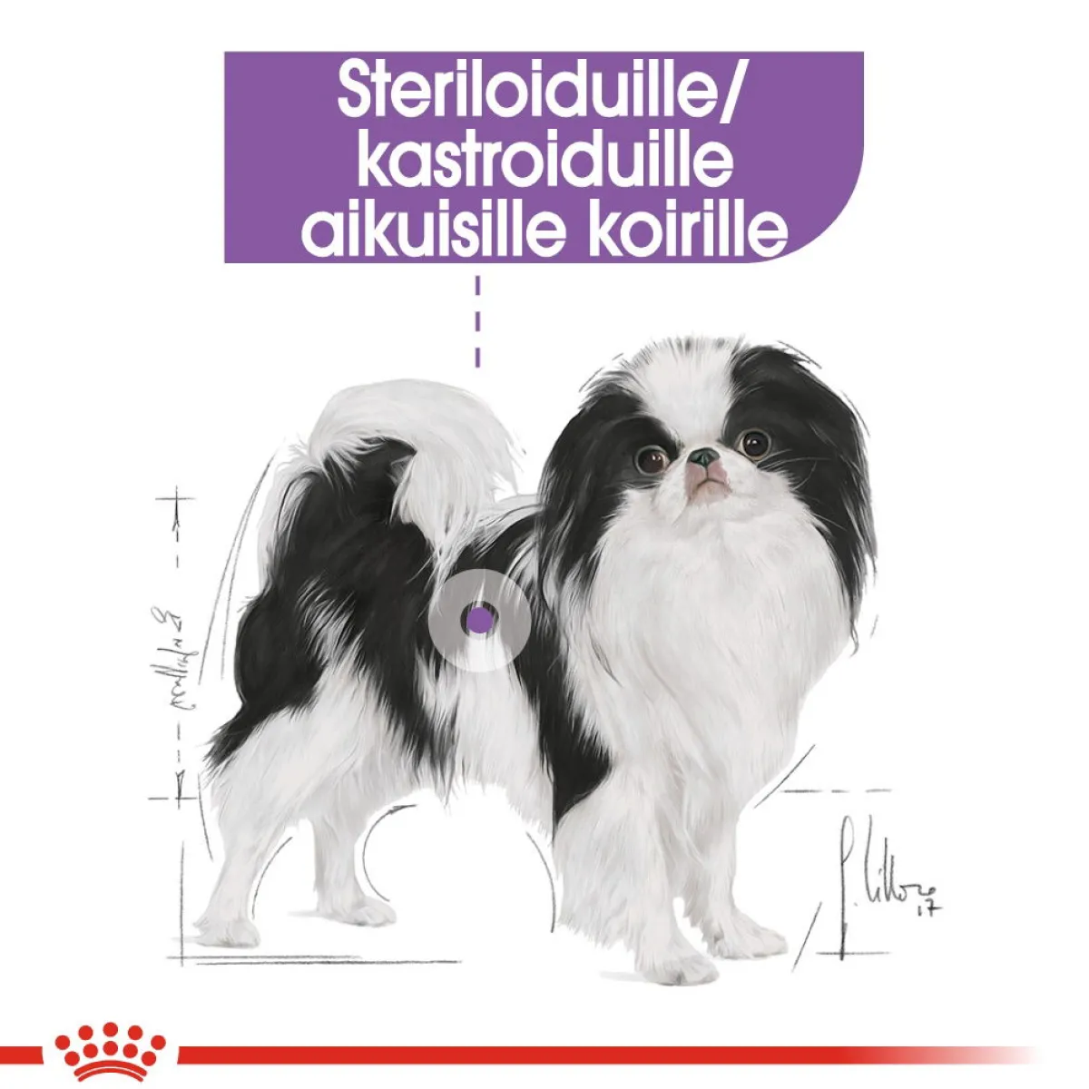 Royal Canin Koiranruoat Erityistapeisiin|Koiran Kuivaruoka*X-Small Sterilised 1,5 kg
