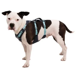 RuffWear Koiran Valjaat*Flagline valjaat, harmaa