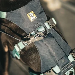 RuffWear Koiran Valjaat*Flagline valjaat, harmaa