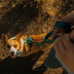 RuffWear Koiran Hihnat Ja Flexit*Front Range Flex hihna