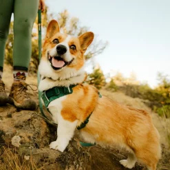 RuffWear Koiran Valjaat*Front Range Flex koiranvaljaat, Deep Teal