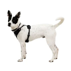 RuffWear Koiran Valjaat*Front Range Flex valjas, Basalt Gray