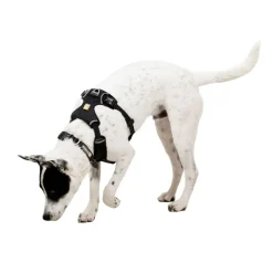 RuffWear Koiran Valjaat*Front Range Flex valjas, Basalt Gray