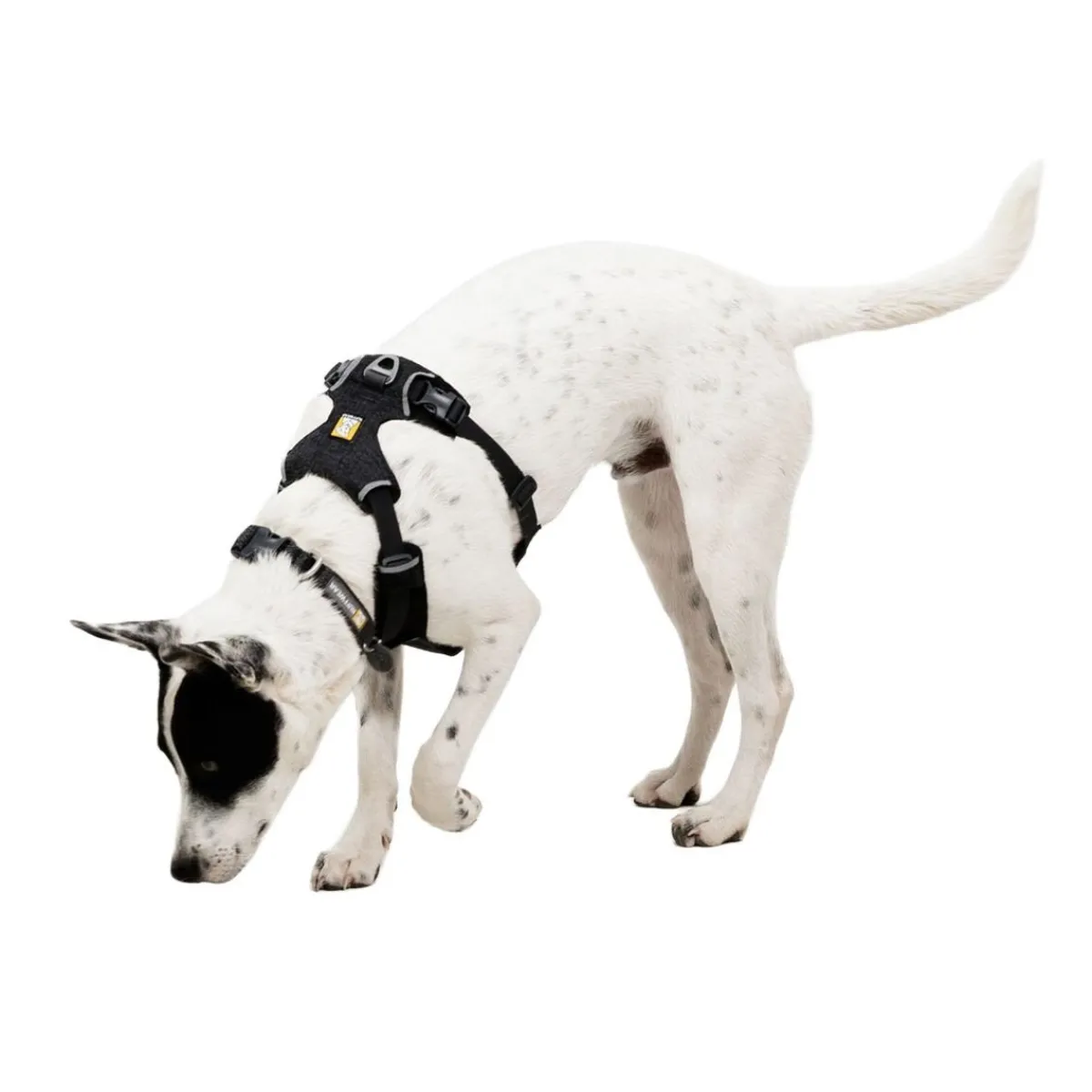 RuffWear Koiran Valjaat*Front Range Flex valjas, Basalt Gray