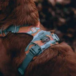 RuffWear Koiran Valjaat*Front Range koiranvaljaat, Spring Mountains
