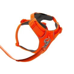 RuffWear Koiran Valjaat*Front Range valjaat, Blaze Orange
