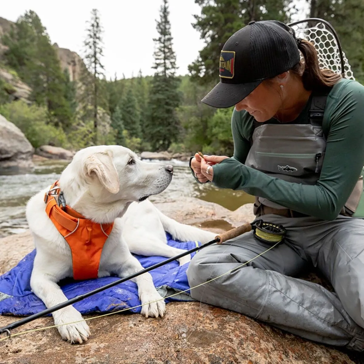RuffWear Koiran Valjaat*Front Range valjaat, Blaze Orange