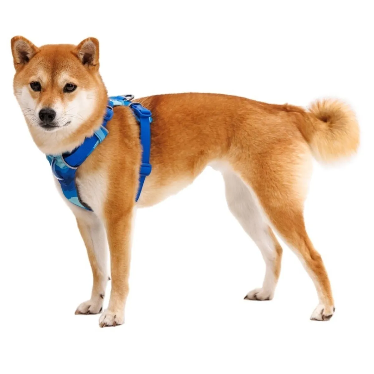 RuffWear Koiran Valjaat*Front Range valjaat, Coastal Mountains