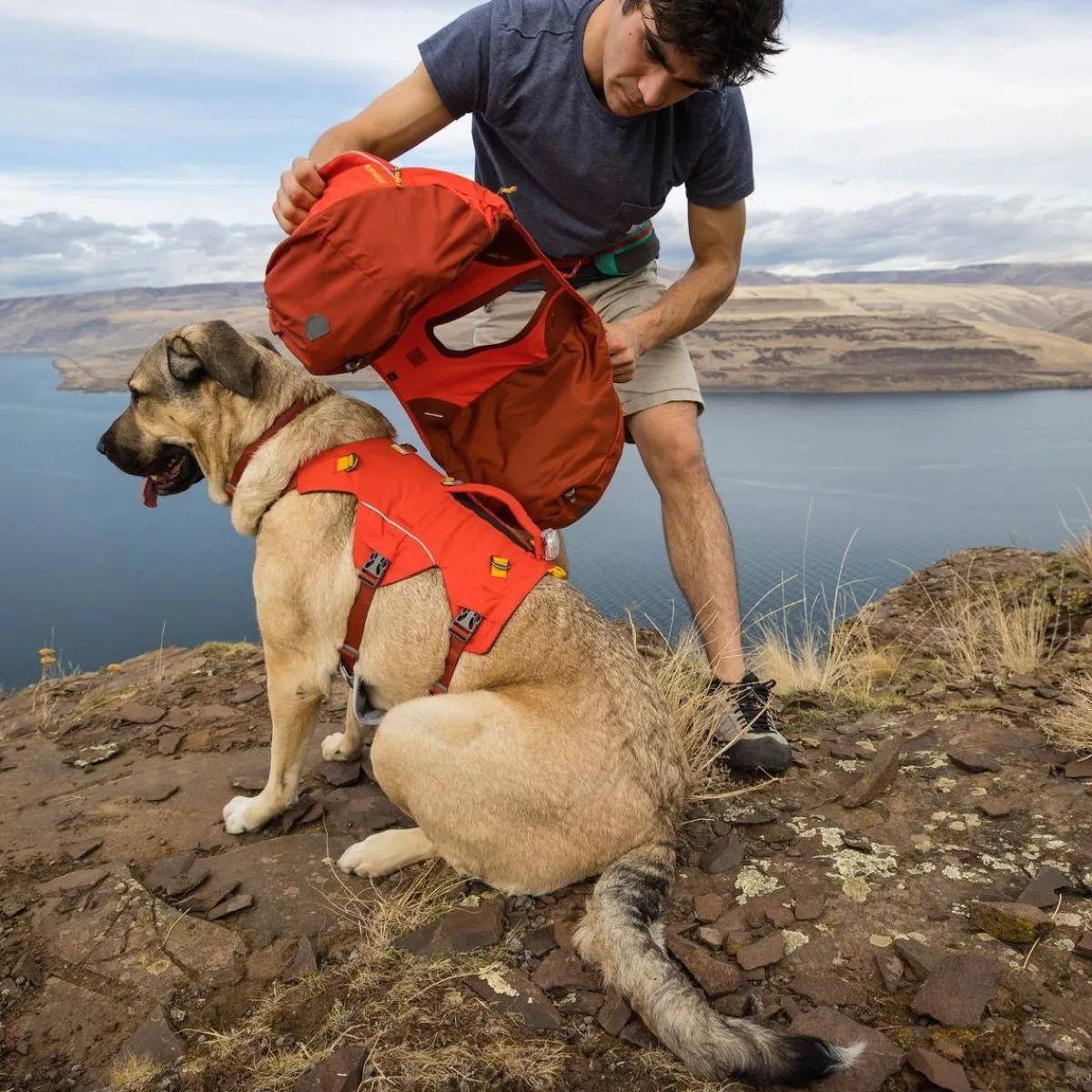 RuffWear Koiran Reput|Retkeily*koiran reppu Palisades Pack, punainen
