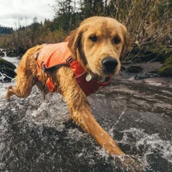 RuffWear Koiran Vaatteet|Pelastusliivit*Pelastusliivi Confluence, Tangelo Orange