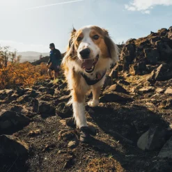 RuffWear Koiran Vaatteet|Koiran Tossut*Ridgeline -koiran kengät