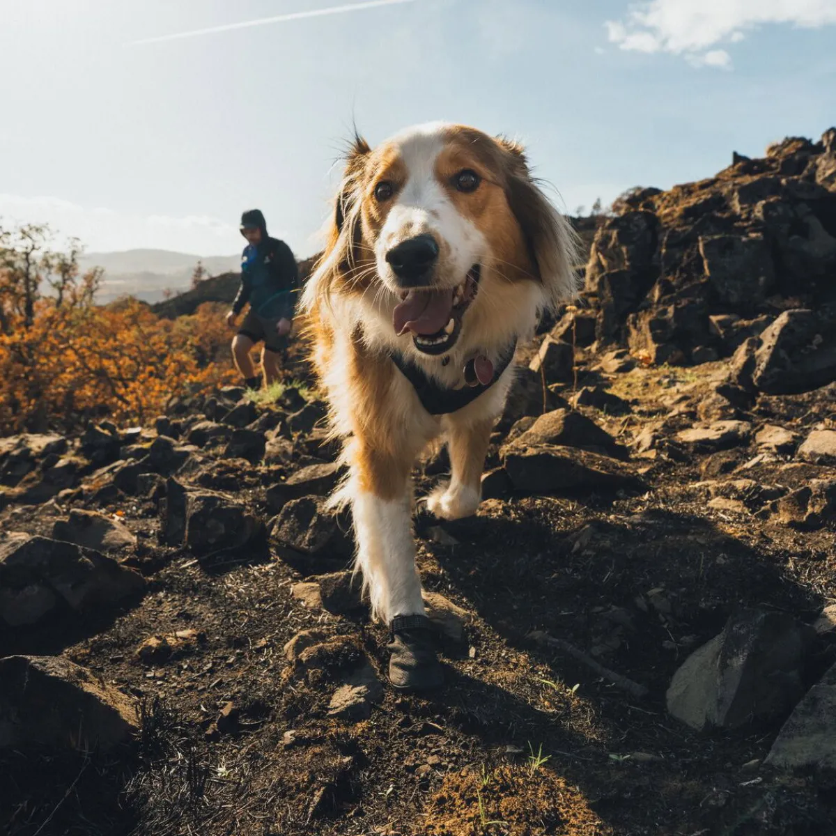 RuffWear Koiran Vaatteet|Koiran Tossut*Ridgeline -koiran kengät