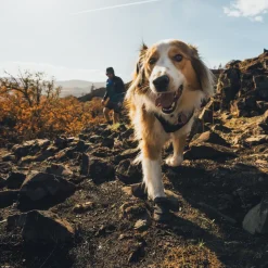 RuffWear Koiran Vaatteet|Koiran Tossut*Ridgeline -koiran kengät