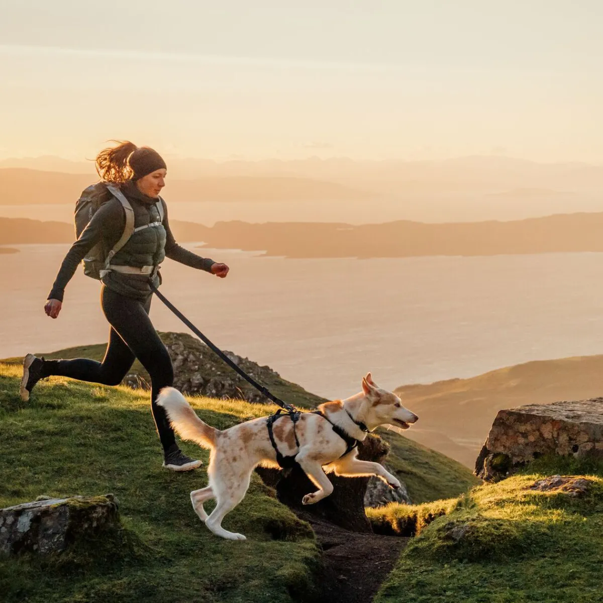 RuffWear Koiran Hihnat Ja Flexit*Ridgeline talutin