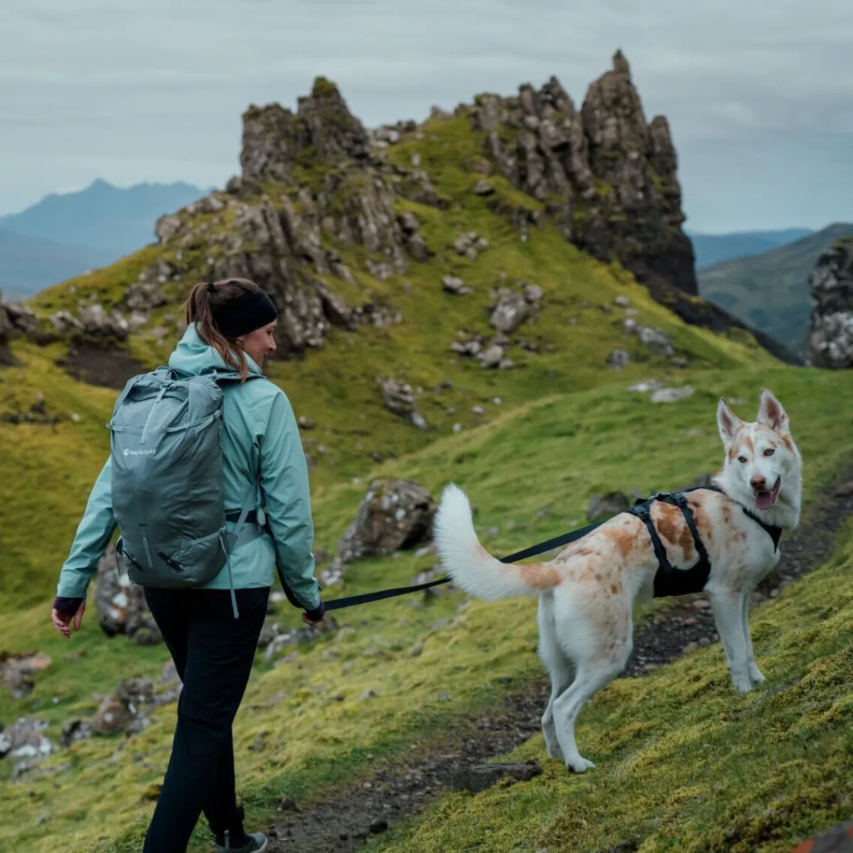RuffWear Koiran Hihnat Ja Flexit*Ridgeline talutin