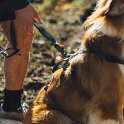 RuffWear Koiran Hihnat Ja Flexit*Ridgeline talutin