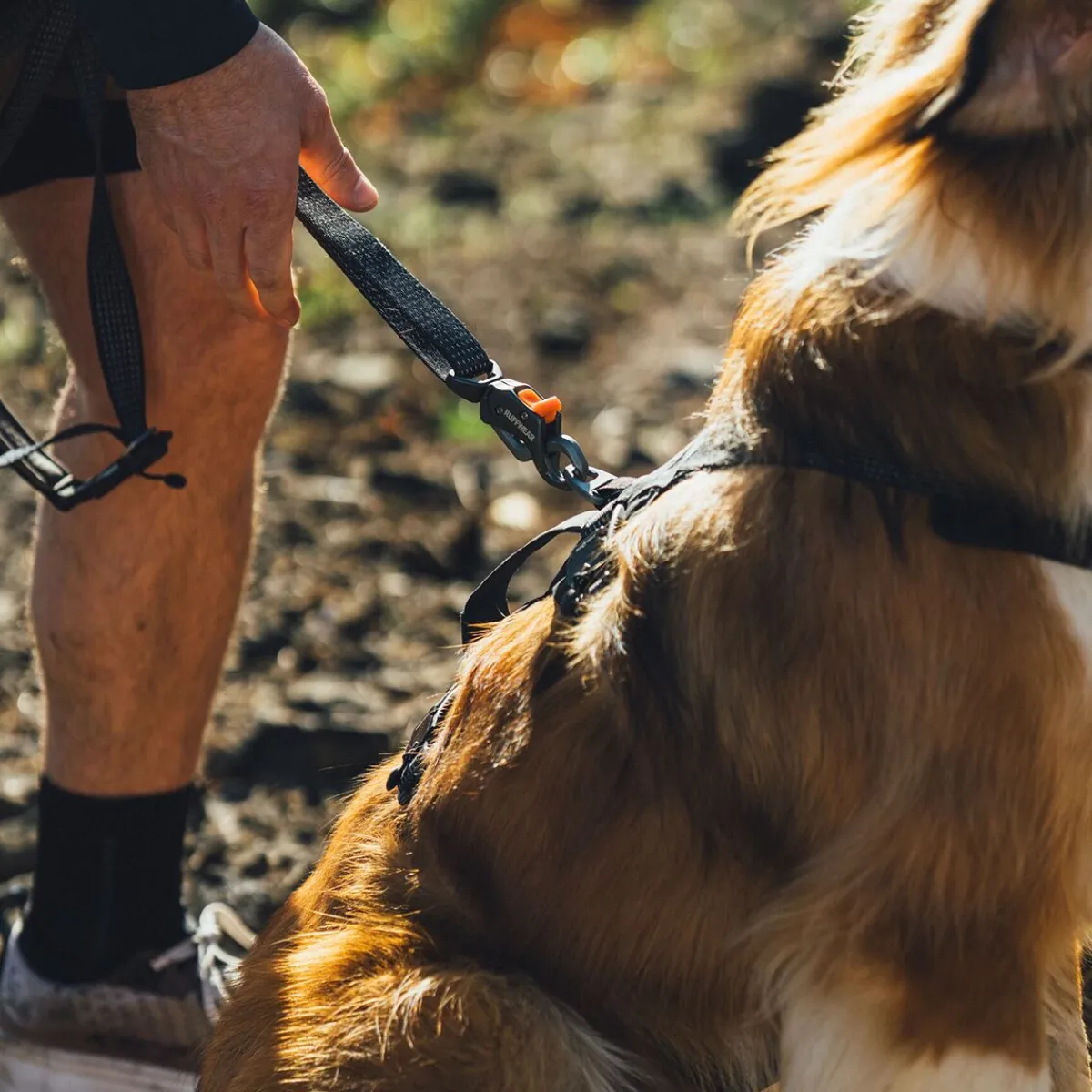 RuffWear Koiran Hihnat Ja Flexit*Ridgeline talutin