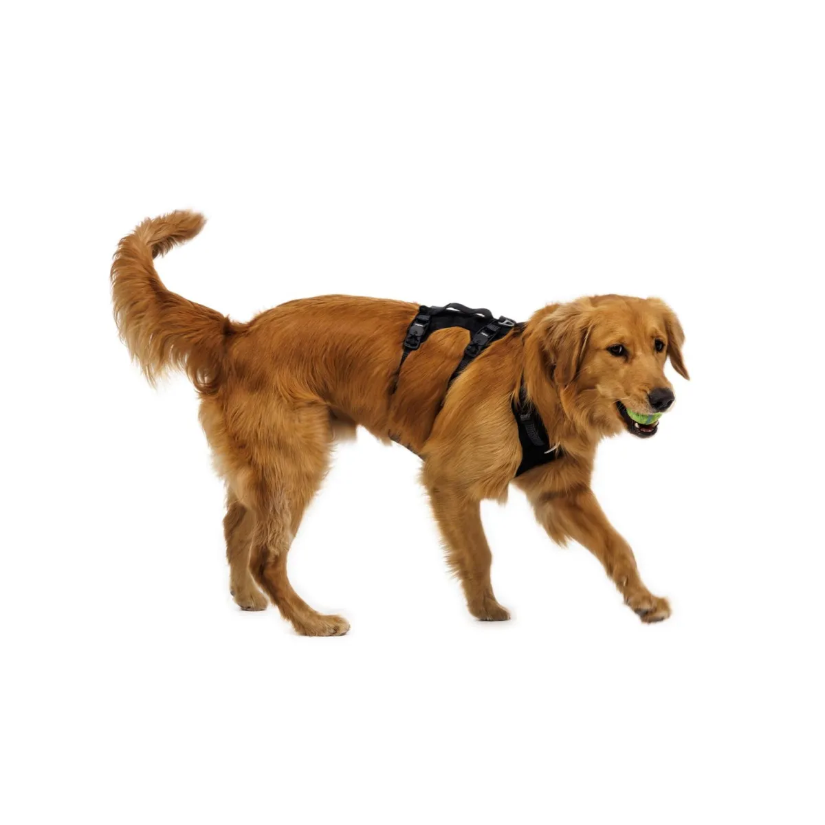 RuffWear Koiran Valjaat*Ridgeline valjaat, Obsidian Black