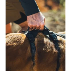 RuffWear Koiran Valjaat*Ridgeline valjaat, Obsidian Black