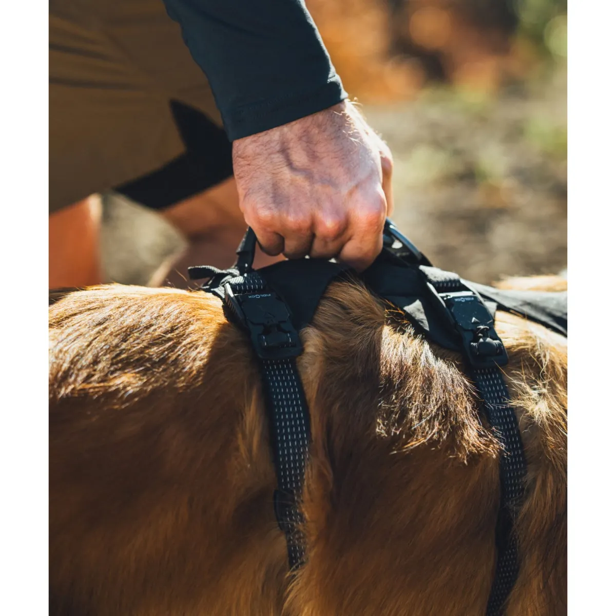 RuffWear Koiran Valjaat*Ridgeline valjaat, Obsidian Black