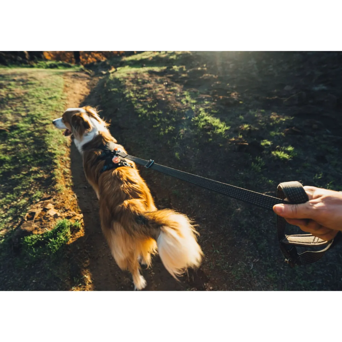 RuffWear Koiran Valjaat*Ridgeline valjaat, Obsidian Black
