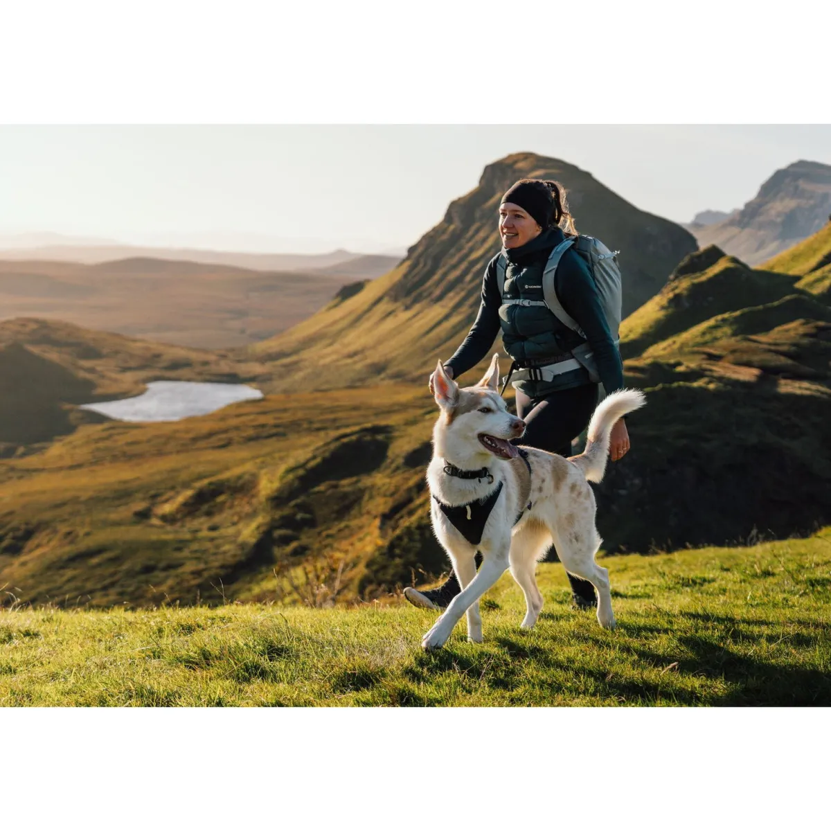 RuffWear Koiran Valjaat*Ridgeline valjaat, Obsidian Black
