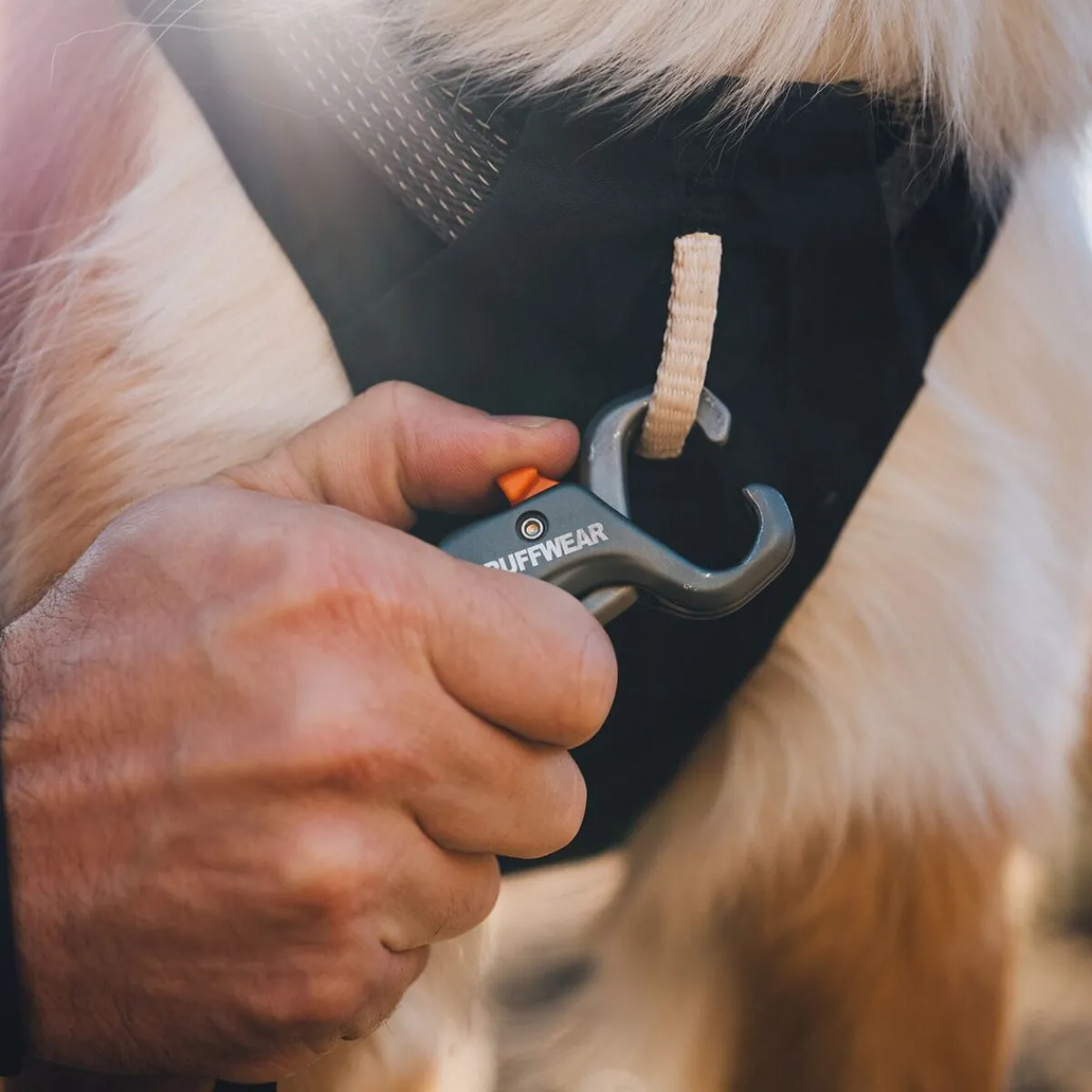 RuffWear Koiran Valjaat*Ridgeline valjaat, Obsidian Black